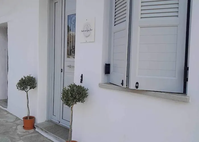 Apartamento White And Grey Tinos *